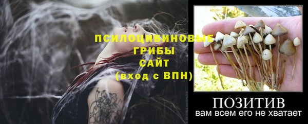 спиды Абинск