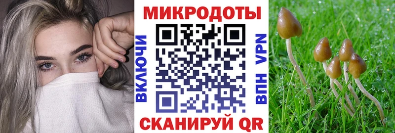 OMG ONION Донской Псилоцибиновые грибы GOLDEN TEACHER